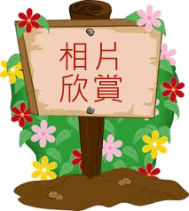 garden icon3
